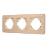 Рамка на 3 поста алюминиевая Arlight FRM-AKIRY-AL-3-GD 049730