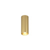 Накладной светильник Denkirs Shine tube DK2615-SB