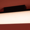 Потолочный светильник Freya Even FR5625CL-L20B