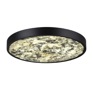 Настенно-потолочный светильник Odeon Light Bergi 5064/40L