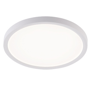 Потолочный светильник Natali Kovaltseva Plain LED LAMPS 81113/2C