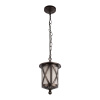 Уличный подвесной светильник Loft IT Ravenna 100016P