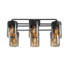 Потолочная люстра Vitaluce V3092-1/6PL