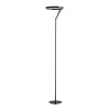 Торшер Divinare Sole 3234/06 PN-1