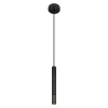 Подвесной светильник Loft IT Everest 10583C Black
