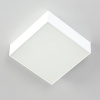 Накладной светодиодный светильник Citilux Тао CL712X120N