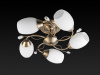 Потолочная люстра Toplight Alana TL3580X-05AB