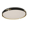 Потолочный светильник Lumina Deco Paneli LDC 8063-48W BK