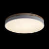 Потолочный светильник Loft IT AXEL 10001/36 White