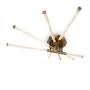 Потолочный светильник Freya Vibe FR6098CL-L58BZ