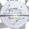 Потолочная люстра Natali Kovaltseva Olimp LED LAMPS 81212