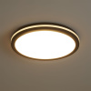 Потолочный светильник Freya Rua FR6160CL-L40B