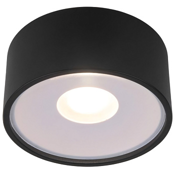 Уличный потолочный светильник Elektrostandard Light LED 35141/H черный 4690389180156 a057470