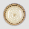 Потолочный светильник LED4U L1110-500 GD