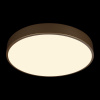 Потолочный светильник Loft IT Flims 10228/A
