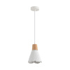 Подвесной светильник Lumion Suspentioni Eoliana 8352/1B