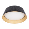 Потолочный светильник Loft IT Evans 10224 Black