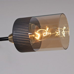 Потолочная люстра Reluce 48460-0.3-06 BK+COPPER