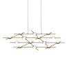 Подвесная люстра DeLight Collection Molecular MD18001067-14A black/gold
