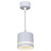 Подвесной светильник Reluce 53001-0.9-001LD GX53 WT