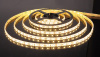 Светодиодная лента Elektrostandard 12V 14,4W 60Led 5050 IP65 теплый белый, 5м 4690389038501