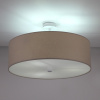 Потолочный светильник LightHall Viviana 50 LH022004