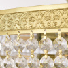 Потолочная люстра Bohemia Ivele Crystal AL19091/55FL AG