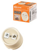 Розетка телефонная RJ11 + компьютерная RJ45 сл. кость Болонь TDM Electric SQ1820-0352