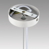 Подвесной светильник Lumion Comfi Torina 8265/5