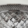 Потолочный светильник Hinkley Plantation HK-PLANT-F-S-PL