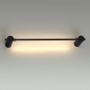 Настенный светильник Odeon Light Dalia 4395/6WL