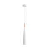 Подвесной светильник Lumion Suspentioni Eoliana 8352/1C