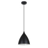 Подвесной светильник Arte Lamp Lark A7075SP-1BK