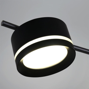 Потолочная люстра Reluce 10590-0.3-06 Black
