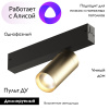 Трековый светильник Denkirs Smart DK8010-BG