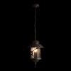 Уличный подвесной светильник Loft IT Prato 100021P