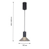 Подвесной светильник F-Promo Feris 4622-1P
