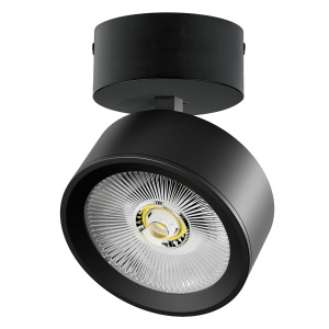 Накладной светильникAlta Pro Lightstar A5647SO