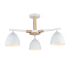 Люстра на штанге Lumion Colange 8095/3C