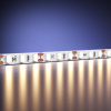 Светодиодная лента Maytoni Led Strip 12В 2835 9,6Вт/м 3000К 5м IP20 201106