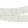 Светодиодная лента Arlight Rt-a350-58mm 2835 019081(2)