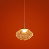 Подвесной светильник Freya Mote FR5601PL-01TR