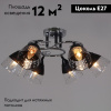 Потолочная люстра Reluce 70139-3.3-06 CR+BK