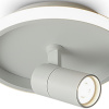 Потолочный светильник Freya Neo FR6040CL-L14W