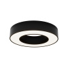 Потолочный светильник Maytoni Lua C093CL-24W4K-B