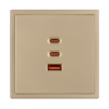 Механизм розетки с быстрой USB зарядкой Arlight SCT-NOBE-MUACC-SFPL-FC-GD (65W, QC3) 061836