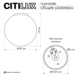 Потолочный светильник Citilux Ron CL941D20B5