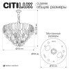 Подвесная люстра Citilux Hasienda CL328190
