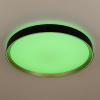 Потолочный светильник Citilux Boss CL751451G