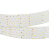 Светодиодная лента Arlight RT-A350-58mm 24V Day5000 CRI98 (36 W/m, IP20, 2.5m) 025162(2)